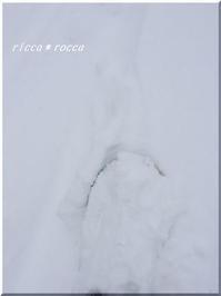 平日のスノーボード ricca*rocca - 平日のスノーボード