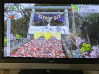 ’15,3,2(月)ベトナム旅行9日目ニンビン~タムコック! 柴犬の愛ちゃんと猫の心ちゃんの勝浦日記 - ’15,3,2(月)ベトナム旅行9日目ニンビン~タムコック!