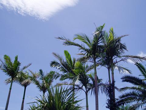 a0000014_174946.jpg