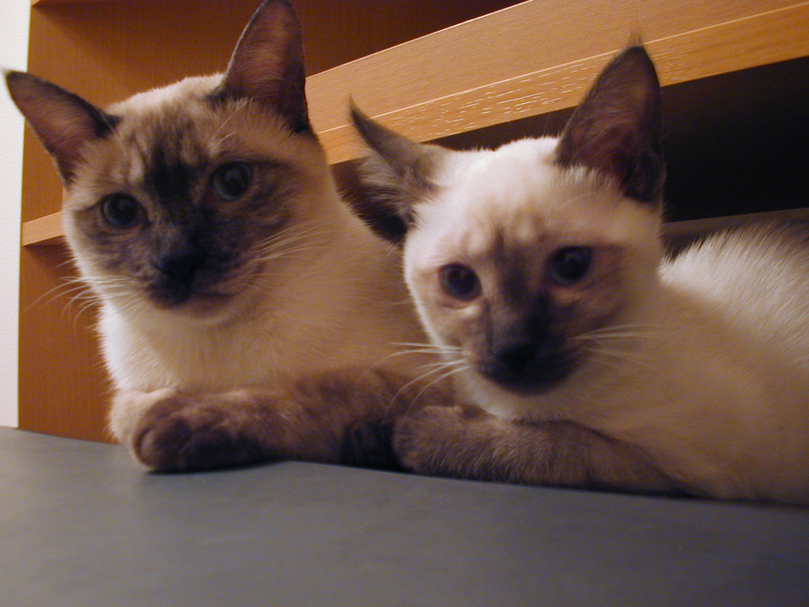a0001668_0523.jpg