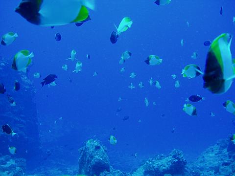a0000014_231946.jpg