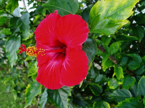 a0000014_234024.jpg
