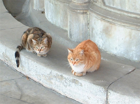 a0004070_23258.jpg
