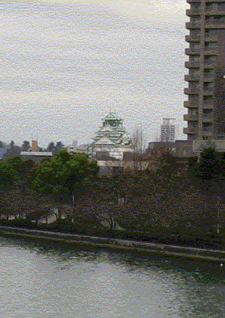 a0008459_204853.gif