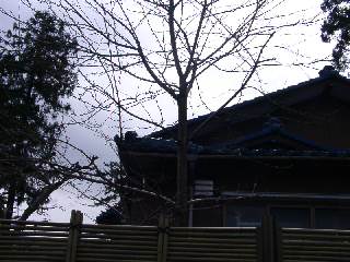 a0009747_221045.jpg