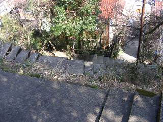 a0009747_22285.jpg