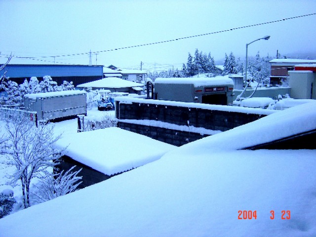a0005691_62354.jpg