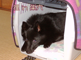 a0009750_122118.jpg
