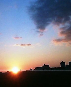 a0011358_6615.jpg
