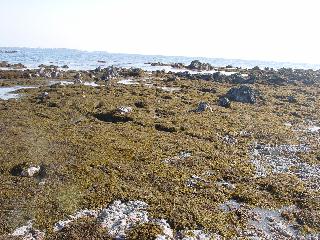 a0003150_84540.jpg