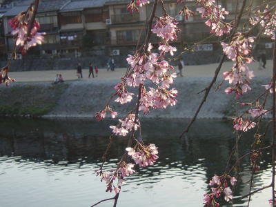 a0003032_22465.jpg