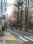 a0011449_23470.jpg