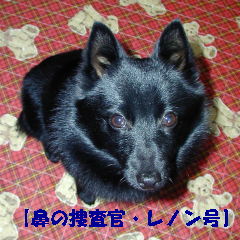 a0009750_11131.jpg