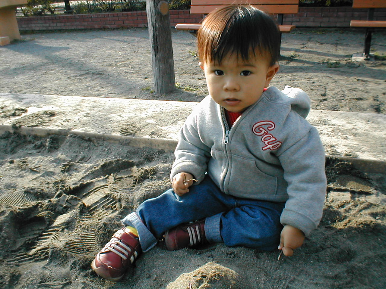 a0009793_162117.jpg