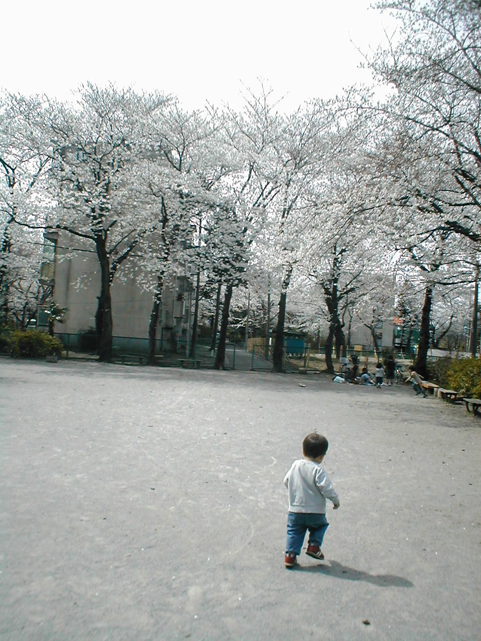 a0009793_2327.jpg