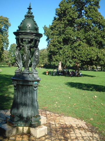 a0008105_194223.jpg