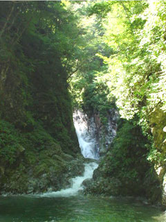 a0009835_235538.jpg