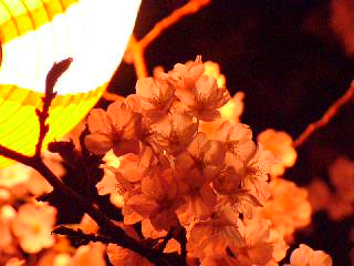 a0009747_212156.jpg