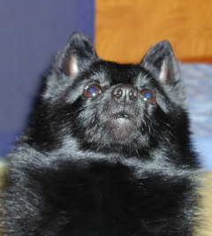a0009750_121341.jpg