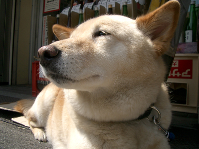 a0012950_185118.jpg