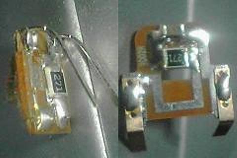 a0009920_19114.jpg
