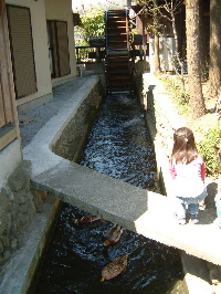 a0011999_151138.jpg