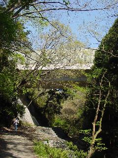 a0003150_23217.jpg