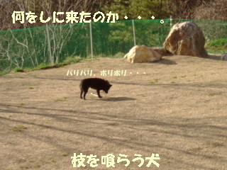 a0009750_161035.jpg