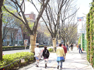 a0009835_04120.jpg