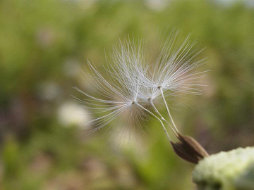 a0013879_175833.jpg