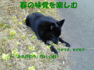 a0009750_15239.jpg