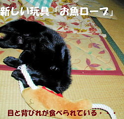 a0009750_122359.jpg