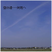 a0009747_14532.jpg
