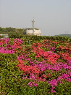 a0003150_61939.jpg