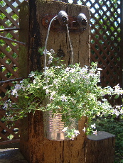 a0011999_183527.jpg