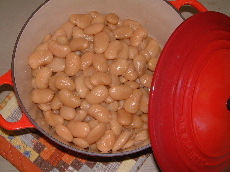 a0011999_174557.jpg