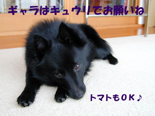 a0009750_10346.jpg