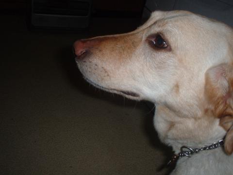 a0004202_22725.jpg