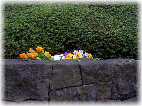 a0016206_225627.jpg