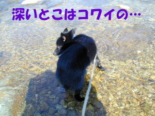 a0009750_11205.jpg