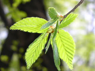 a0016829_234835.jpg