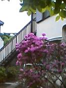 a0016794_23247.jpg