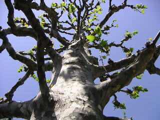 a0016829_0852.jpg