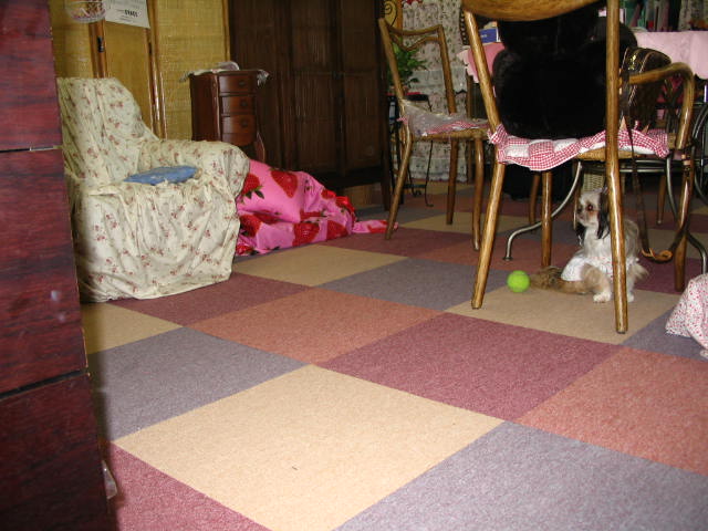 a0006144_194737.jpg