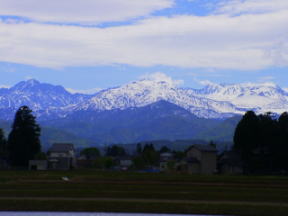 a0009747_22648.jpg