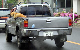 a0009562_231215.jpg