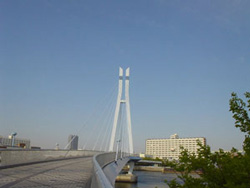 a0016029_234124.jpg