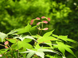 a0016829_233947.jpg