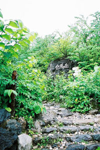 a0016910_1542.jpg