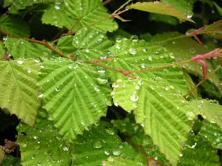 a0016829_215822.jpg